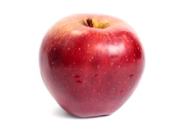 Taze kırmızı elma hasadın bir parçası olarak