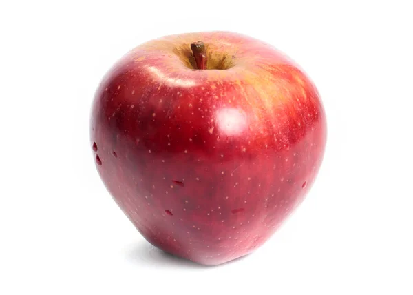 Mogna Färska Röda Äpplen Som Del Skörden — Stockfoto