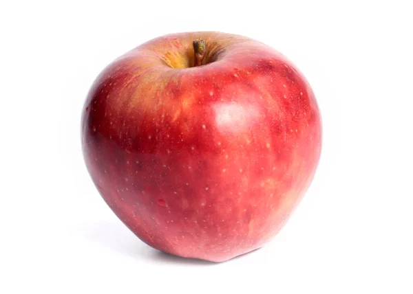 Pomme Rouge Fraîche Mûre Dans Cadre Récolte — Photo