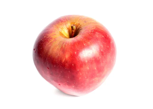 Ripe Fresh Red Apple Part Harvest — Stock Photo, Image