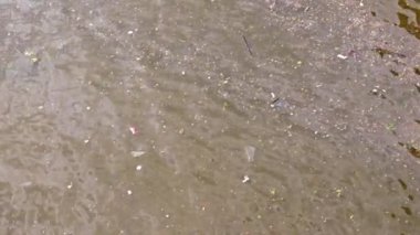 Nehrin yüzeyinde çöp ve şehir çamuru