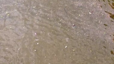 Nehrin yüzeyinde çöp ve şehir çamuru