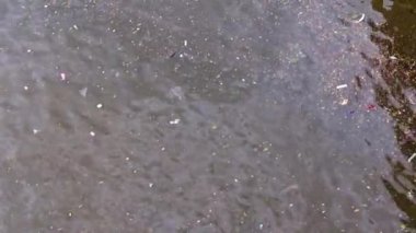 Nehrin yüzeyinde çöp ve şehir çamuru