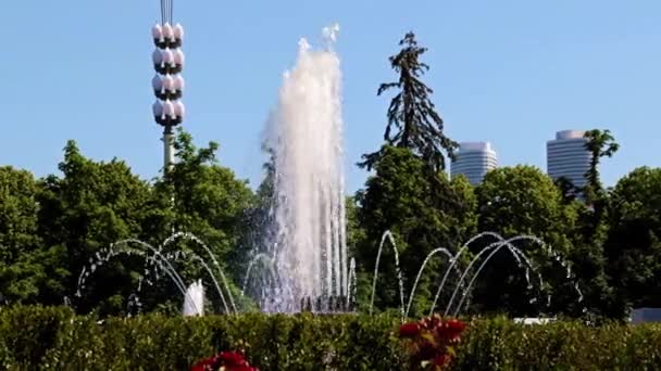 Jets Fontaine Eau Propre Sur Rue Ville Moscou Russie — Video