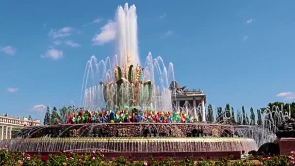 Lazurowa Fontanna Kwiatowa Parku Vdnh Moskwa Rosja — Wideo stockowe