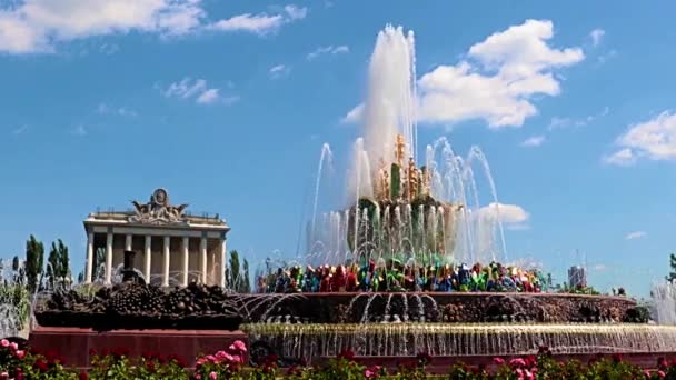 Fontana Fiori Azzurri Nell Area Del Parco Del Vdnh Mosca — Video Stock