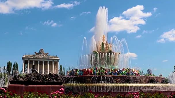 Fontana Fiori Azzurri Nell Area Del Parco Del Vdnh Mosca — Video Stock