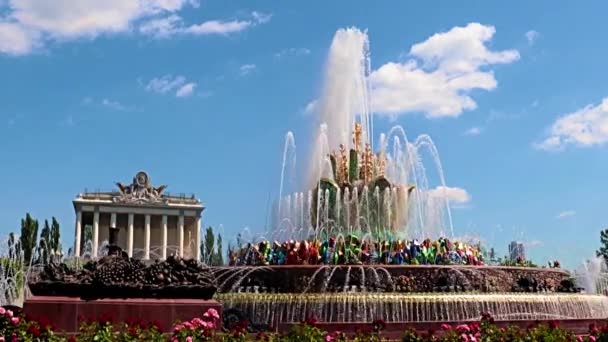 Fuente Flores Azul Área Del Parque Vdnh Moscú Rusia — Vídeos de Stock