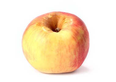 Güz hasadının bir parçası olarak güzel olgun bir elma.