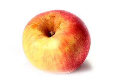 Güz hasadının bir parçası olarak güzel olgun bir elma.