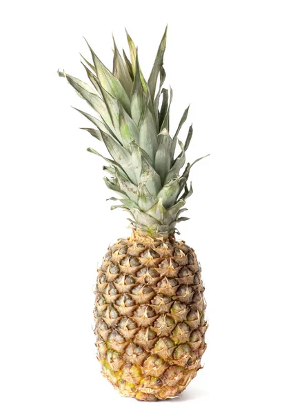 Nádherné Tropické Ovoce Ananas Připraven Pro Potraviny — Stock fotografie