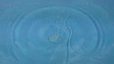 Sıvının yüzeyine düştüğü zaman bir damla temiz su çok güzel desenler oluşturur.