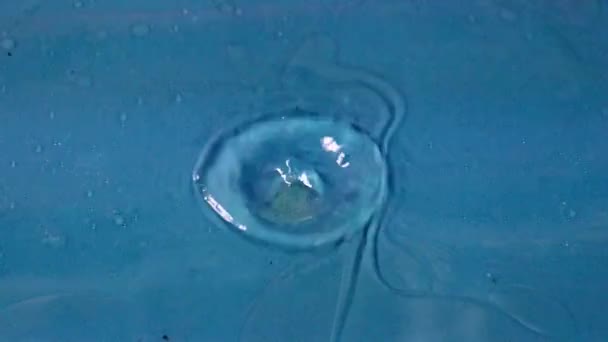 Drop Clear Water Falling Hitting Surface Liquid Creates Beautiful Patterns — Stock Video