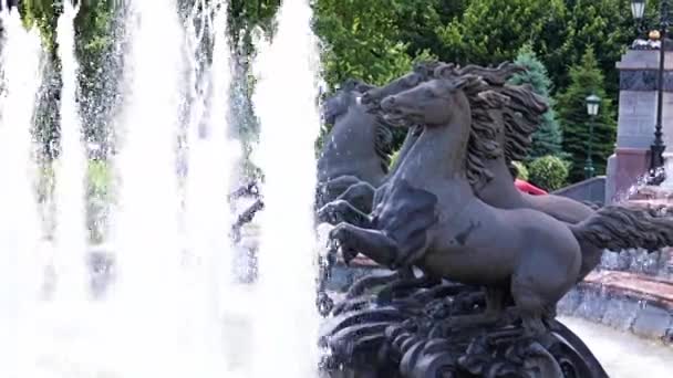 モスクワのオホーツク ライド公園の噴水で馬と彫刻の組成物ロシア — ストック動画