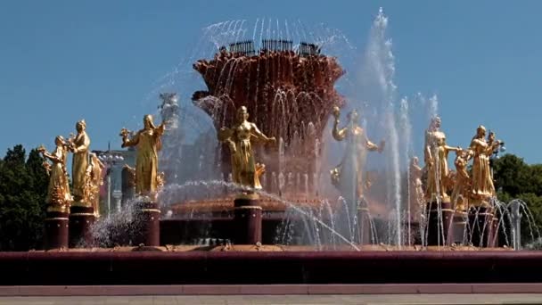 モスクワのVdnkh Vdnkh 公園のドルジバ ナロドフ噴水の澄んだ水の流れの黄金の像ロシア — ストック動画
