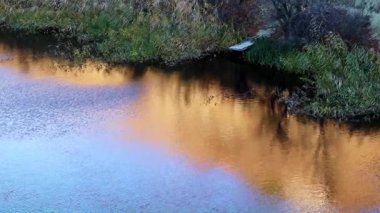 Sakin su ve kırsal kesimde bir nehir yamacı.