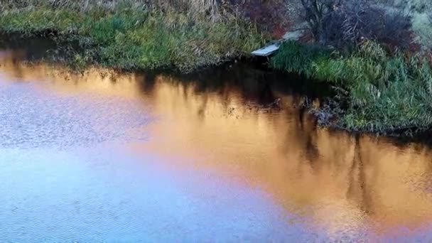 Acque Calme Pendio Fluviale Immerso Nel Verde — Video Stock