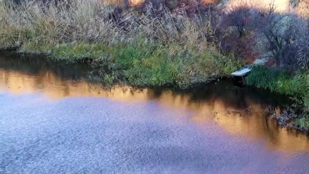 平静的水和乡间的河堤 — 图库视频影像