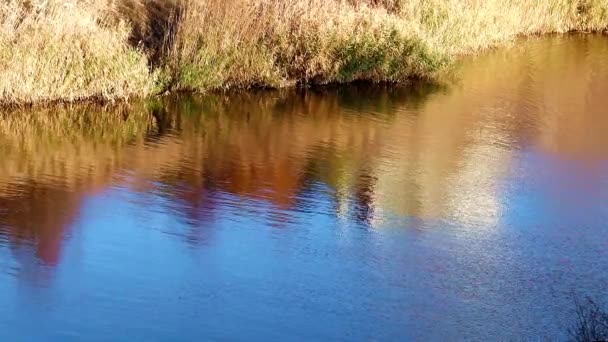 Спокійна Вода Схил Річки Сільській Місцевості — стокове відео