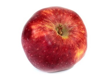 Hasatın bir parçası olarak olgun kırmızı bir elma.