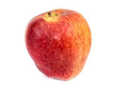 Hasatın bir parçası olarak olgun kırmızı bir elma.