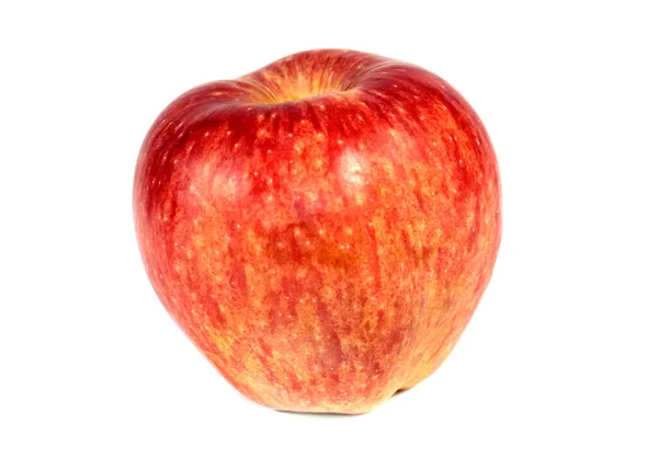 Une Belle Pomme Rouge Mûre Dans Cadre Récolte — Photo