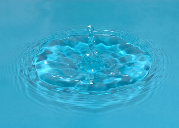 a drop of liquid falls on the surface of clean water