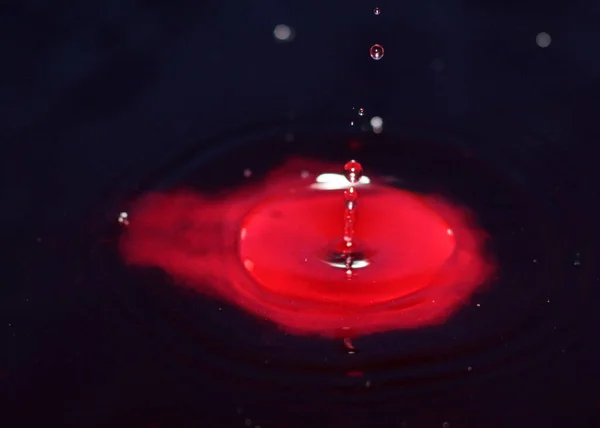 Uma Gota Líquido Sangrento Cai Recipiente Água Suja — Fotografia de Stock