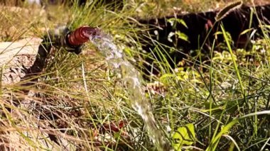 Su yüzeyinde bir damla kırmızı sıvı.