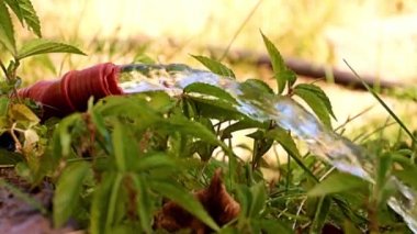 Su yüzeyinde bir damla kırmızı sıvı.