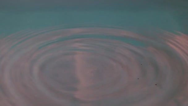 Капля Чистой Воды Поверхность Жидкости — стоковое видео