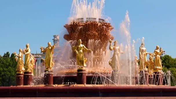 Chorros Limpios Agua Fuente Druzhba Narodov Parque Ciudad Moscú Rusia — Vídeos de Stock