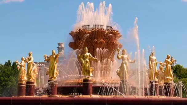 Καθαρά Αεριωθούμενα Νερά Στο Συντριβάνι Druzhba Narodov Στο Πάρκο Της — Αρχείο Βίντεο