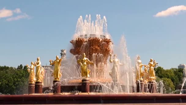 Tiszta Vízsugarak Druzhba Narodov Szökőkútban Moszkva Város Parkjában Oroszország — Stock videók