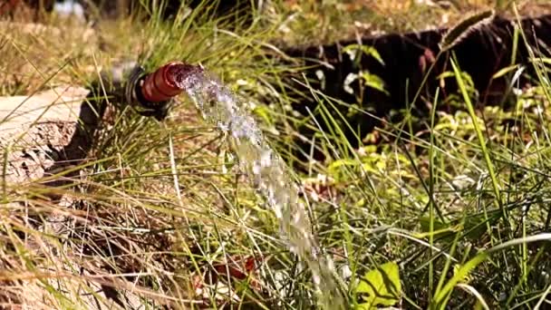 Una Gota Líquido Rojo Superficie Del Agua — Vídeos de Stock