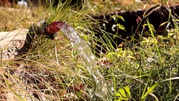 水面に赤い液体が落下し — ストック動画