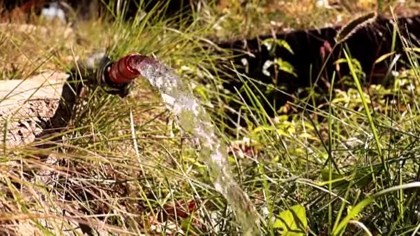 Una Gota Líquido Rojo Superficie Del Agua — Vídeos de Stock