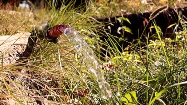 水面に赤い液体が落下し — ストック動画