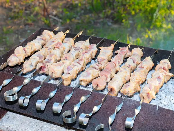 Cozinhar Carne Suculenta Espetos Sobre Uma Fogueira — Fotografia de Stock