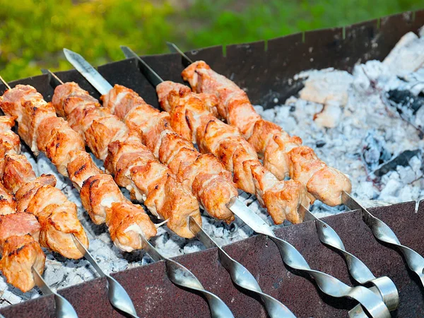 Processo Cottura Della Carne Fritta Sugli Spiedini Alla Griglia — Foto Stock