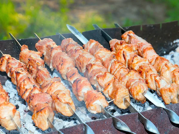 Izgaradaki şişte kızarmış et pişirme işlemi.