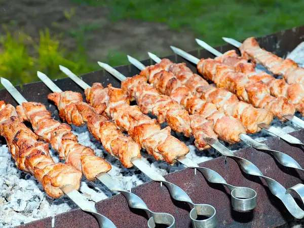 Het Bakken Van Gebakken Vlees Spiesen Grill — Stockfoto