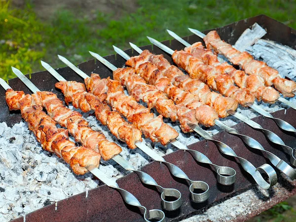 Proceso Cocción Carne Frita Pinchos Parrilla —  Fotos de Stock