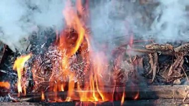 Ormanda odun parçaları ve kuru otlar yanarken alevlerin parlak dilleri