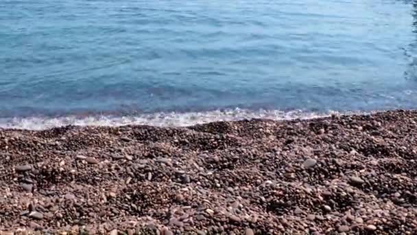 Ondas Mar Limpo Correr Para Praia Seixos Arenosos Como Lugar — Vídeo de Stock