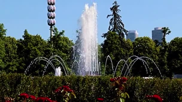 Beaux Jets Eau Claire Dans Fontaine Parc Ville Moscou Fédération — Video