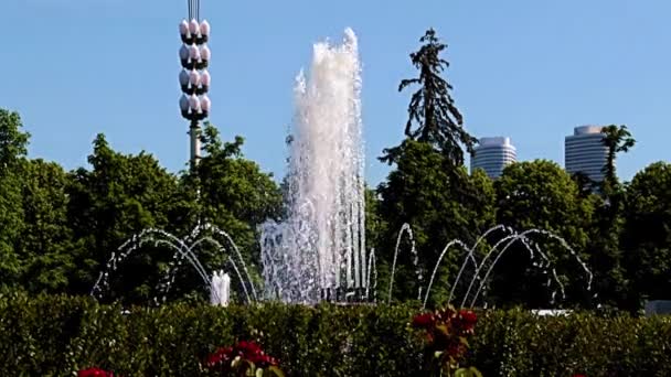 Beaux Jets Eau Claire Dans Fontaine Parc Ville Moscou Fédération — Video