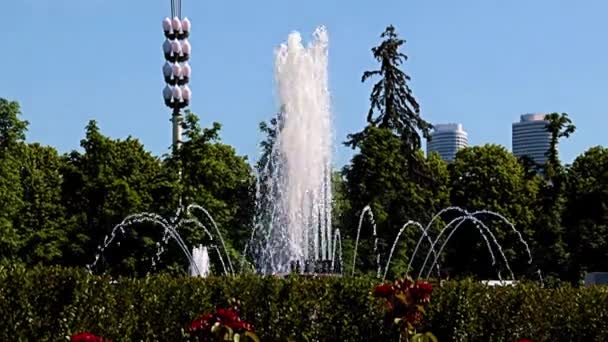 Beaux Jets Eau Claire Dans Fontaine Parc Ville Moscou Fédération — Video