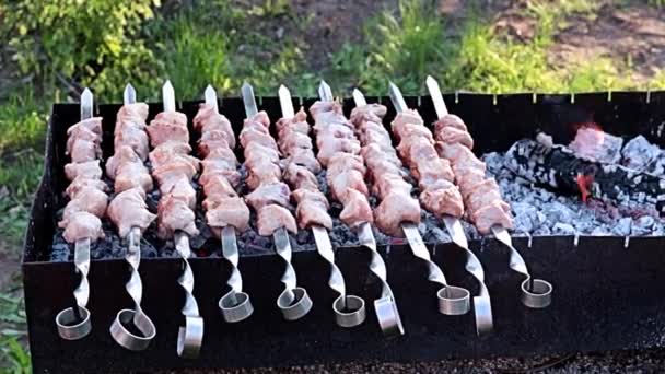 Process Cooking Shish Kebab Juicy Meat Charcoal Fire Grill — Stock Video