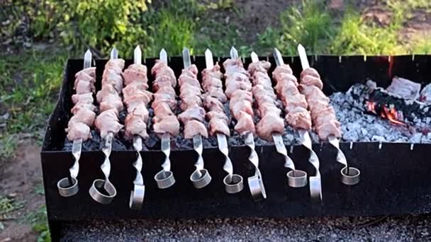 Process Cooking Shish Kebab Juicy Meat Charcoal Fire Grill — Stock Video